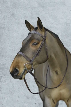 Pessoa® Pro Fancy-Stitched Wide Nose Bridle