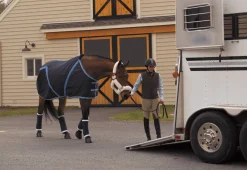 Pony Stable Bandages