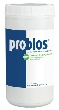 Probios® Dispersible Powder
