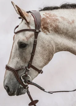 PS of Sweden Nirak™ Bridle