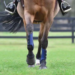 Rider’s International™ All-Purpose Galloping Boots