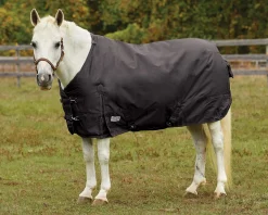 Rider’s International™ Pony Turnout Sheet