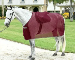 Rider’s International™ Ringside Scrim Sheet