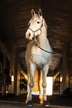 Rider's International™ Rubber Hook-and-Loop Bell Boots