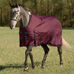 Rider’s International™ Supreme Heavyweight Turnout Blanket
