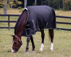Rider’s International™ Supreme 100 Gram Turnout Blanket