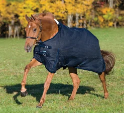 Rider’s International™ Supreme Turnout Sheet