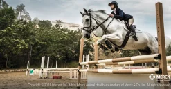 Safe-Guard® Dewormer