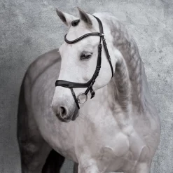 Schockemöhle Equitus Alpha Bridle