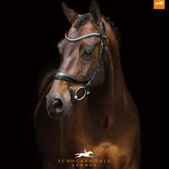 Schockemöhle Equitus Beta Bridle