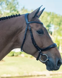Schockemöhle Equitus Delta Bridle