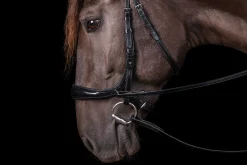 Schockemöhle Equitus Theta Bridle