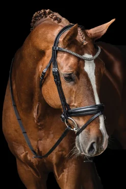 Schockemöhle Malaga Bridle
