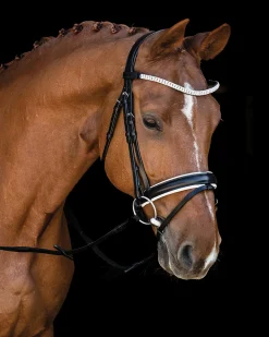 Schockemöhle Malaga Bridle