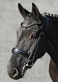 Schockemöhle Milan Anatomical Double Bridle