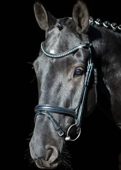 Schockemöhle Rome Select Bridle