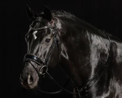 Schockemöhle Standford Glam Bridle