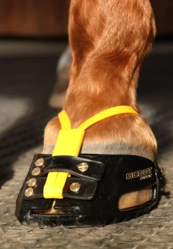 Scoot Boot Adjust Hoof Boots - Each