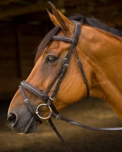 Shires Avignon Louisville Bridle