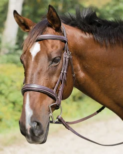 Shires Avignon Wellington Bridle