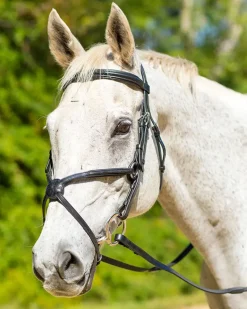 Shires Avignon Woodside Bridle