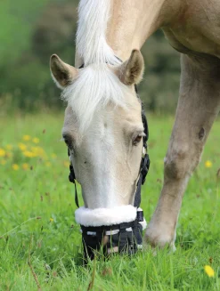 Shires Deluxe Grass Muzzle