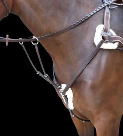 Shires Rossano Five-Point Breastplate
