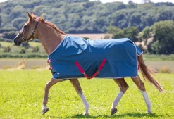 Shires Tempest Original Lite Turnout Sheet