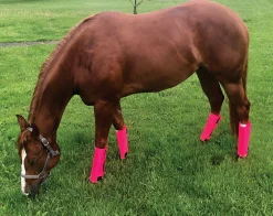 Shoofly Leggins™ Set of 4