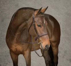 Showmark® Premier Hunter Bridle