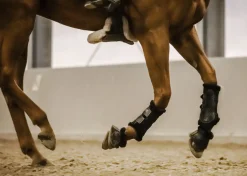 Stübben Airflow Fleece-Lined Brushing Boots