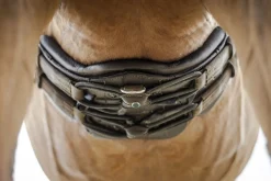 Stübben Equi-Soft® Girth