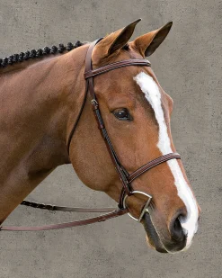 Suffolk™ Classic Hunter Bridle