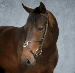 Suffolk™ Figure-8 Bridle