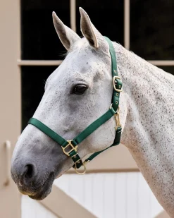 Suffolk™ Heavy Nylon Breakaway Halter with Fuse