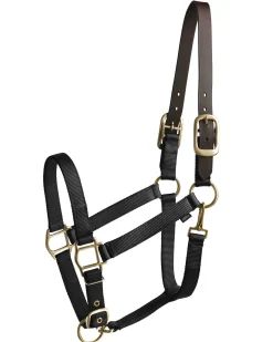 Suffolk™ Heavy Nylon Halter with Breakaway Crown