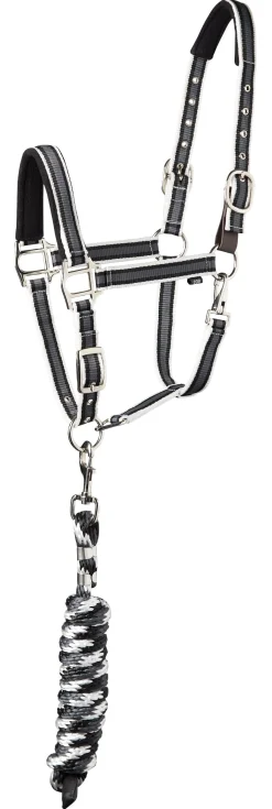 Suffolk™ Padded Striped Breakaway Halter & Lead