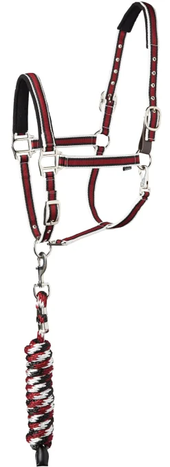 Suffolk™ Padded Striped Breakaway Halter & Lead