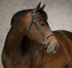 Suffolk™ Single Crown Flash Bridle