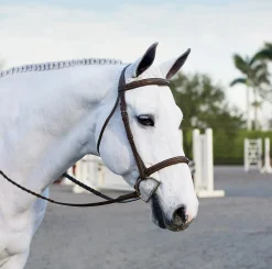 Suffolk™ Single Crown Hunter Bridle