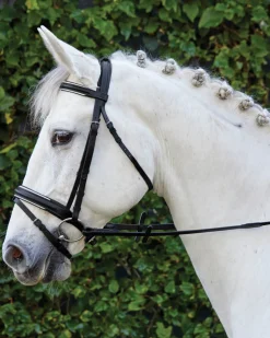 Suffolk™ Single Crown Padded Dressage Bridle