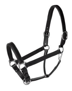 Suffolk™ Everyday Halter