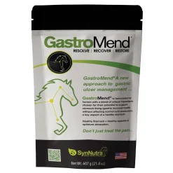 SynNutra Equine® GastroMend® Powder