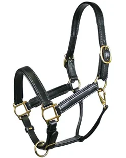 Tory Leather Company Padded Leather Halter