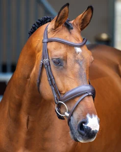 Velociti Lusso Dressage Flash Bridle