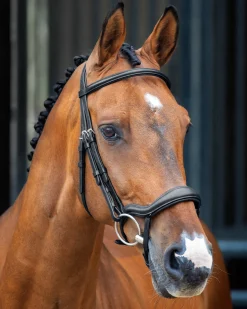 Velociti Lusso Ergonomic Flash Bridle