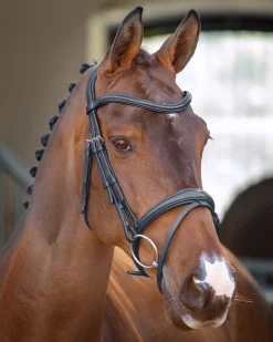 Velociti Lusso Padded Raised Flash Bridle
