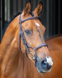 Velociti Lusso Rolled Padded Caveson Bridle