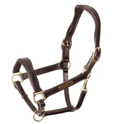 Velociti Rapida Cushioned Leather Halter