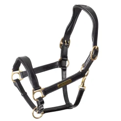 Velociti Rapida Cushioned Leather Halter